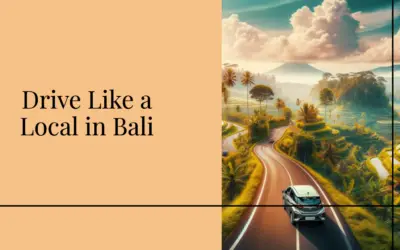 11 Tips for Driving in Bali: Driving Guide