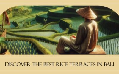 6 Best Rice Terraces in Bali